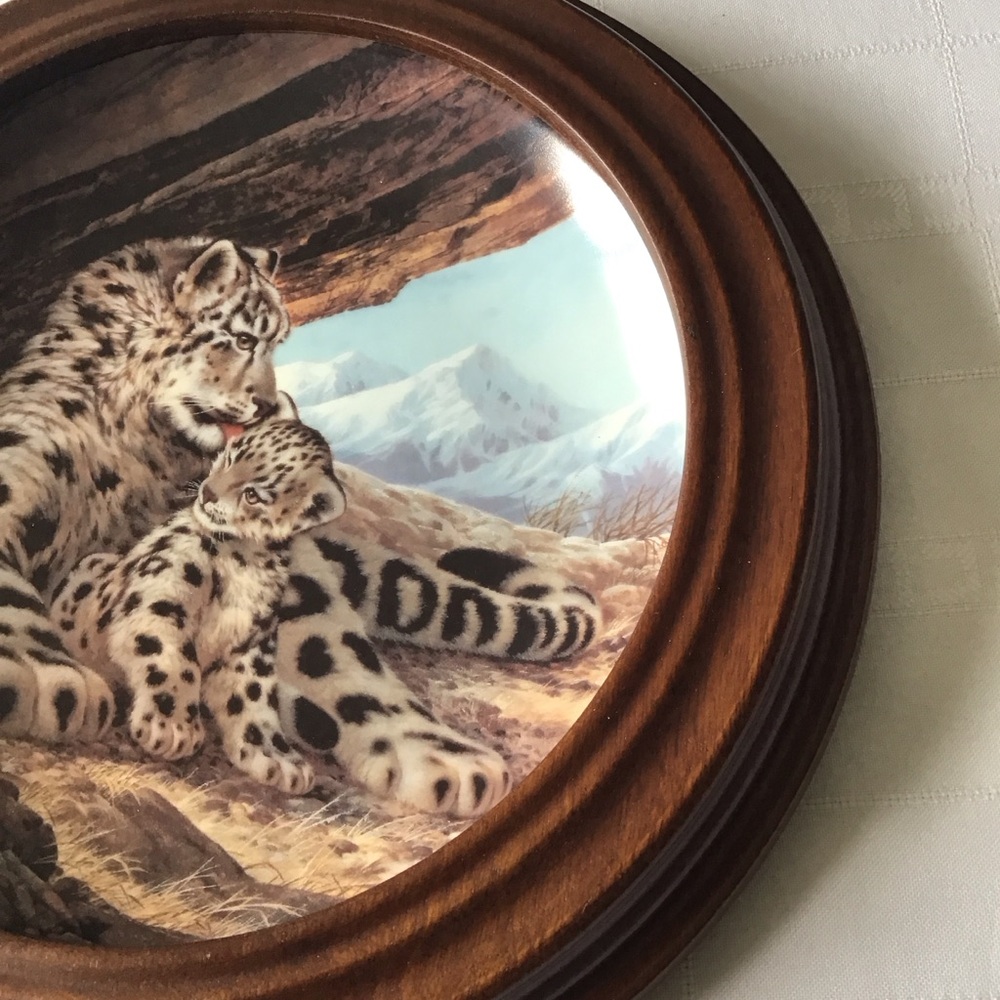 W S George - The Snow Leopard Plate with Van Hygan & Smythe Display Frame - Picture 9 of 12